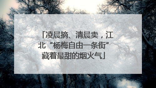 凌晨摘、清晨卖，江北“杨梅自由一条街”藏着最甜的烟火气